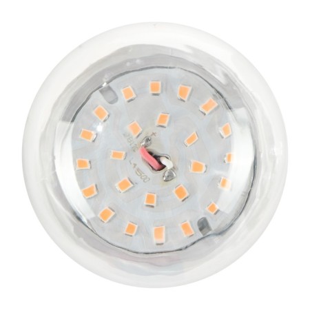 LED Luazon, A60, E27, 15 W, IP44, 220 V, 270 °.-3