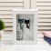 Pig a case of interior plastic "cats and traces" 17x12x3.8 cm