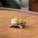 Board of incense "Turtle", 4 x 1.8 cm