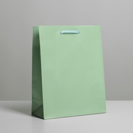 Gift package laminated, packaging, "green", MS 18 x 23 x 8 cm-1