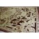 Rectangular carpet Genova 38388, size 200x290 cm