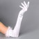 Carnival accessories with feathers, white color