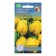 Seeds of Razuminka® Perez, 20 pcs
