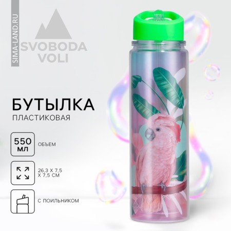 Water bottle "Parrot", 550 ml