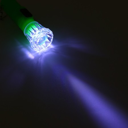 Temminka flashlights, 1 LED, 2 x 6.5 cm, mix-3