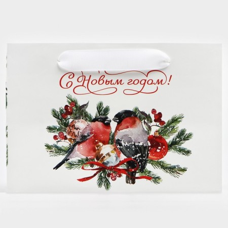 Gift package with a wide bottom "Bullfins", 20 x 14 x 13.2 cm, New Year-2