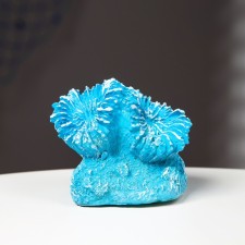 Interior souvenir 