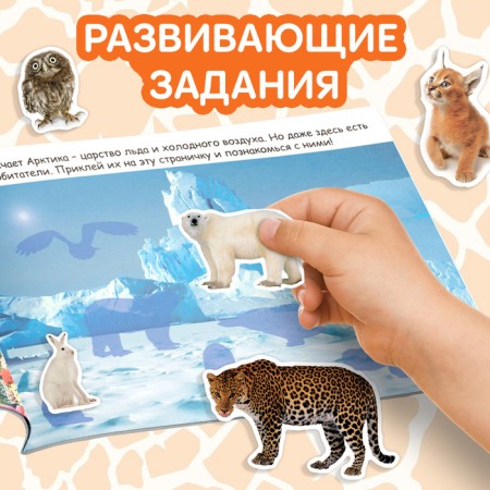 100 stickers "Animals from all over the world", 12 p.-4
