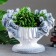 Vazon "Cup 12 Apostles" Antik, 1.8l/ 35x30x30 cm