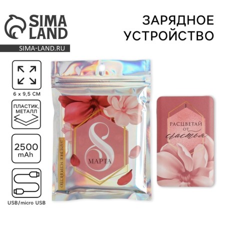 Charger "Blave with happiness", 2500 MAH, 6 x 9.5 cm