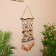 Suspended souvenir "Gift of the Sea" shells 20x3x55 cm