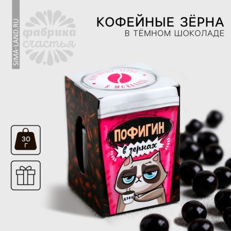 Coffee grains in dark chocolate "Pofigin": 30 g.