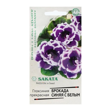Gloxinia flowers "Blue Blue with White", F1, 4 pcs.-2