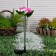 Garden lamp on the sunny battery "Lotus", 70 cm, 1 LED, glow of white