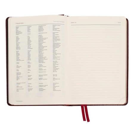 Diary Leduced A5+, 176 Parliament sheets, solid artificial leather cover, green-12