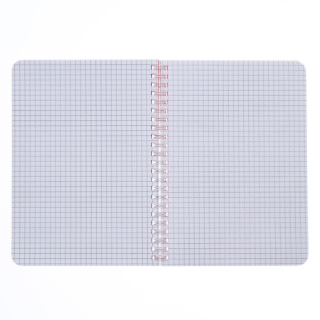 Notebook A5-80 sheets in a cage, on a crest, a plastic cover, a removable ruler made of transparent plastic, coral-1