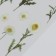 Stickers for creativity plastic "Chamomile" 21x10.5 cm