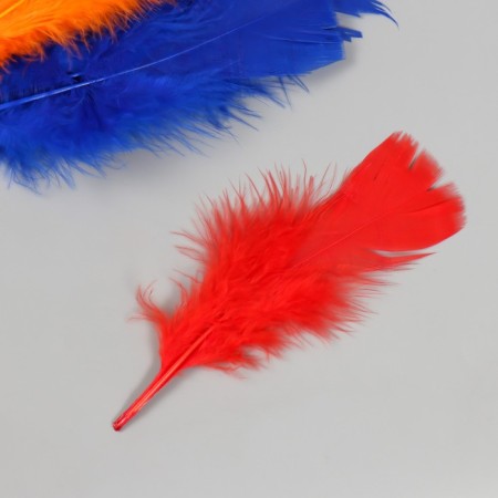 Decorative goose fan penis set 30 pcs h = 10-15 cm-1