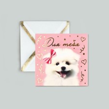 Postcard with an envelope 