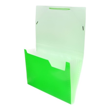 Folder Carder Calligrata Neon 6 department. A4 plastic 0.7mm light green. Cut in color-4