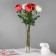 VAZ "Rotonda-2" 30x6 cm, 0.64l 2823 Transparent