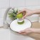 Brush with a dispenser for detergent and stand, green color