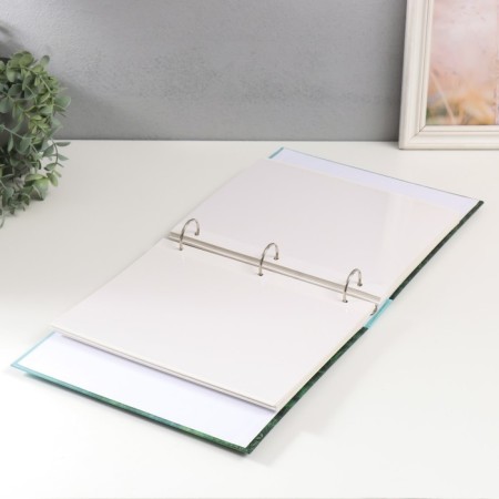 Photo album on 50 magnetic sheets 23x28 cm, on the rings "FOG"-2