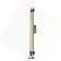 Black pencil with an eraser, hardness of HB, round, sharpened, golden body.