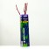 Sphinx grape seedling, 1 pc, spring 2024
