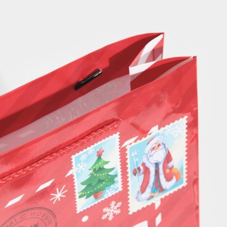 Packet Laminated Vertical Polar Mail, L 28 x 38 x 9 cm, New Year-4