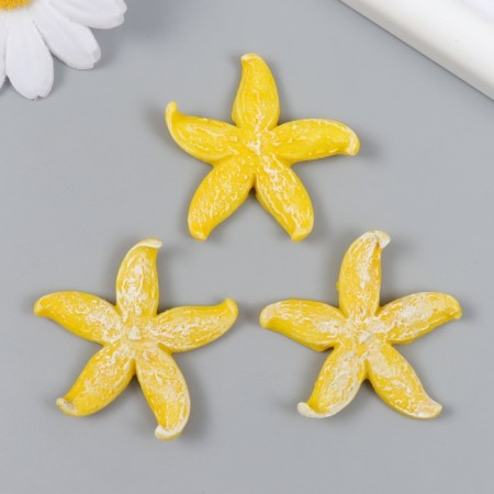 Figure for Florarium Polystone "Fat Yellow Sea Star" 4.2x4.5 cm-2