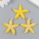 Figure for Florarium Polystone "Fat Yellow Sea Star" 4.2x4.5 cm