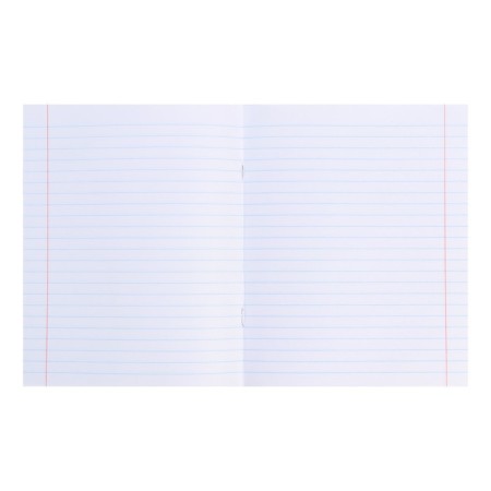 Notebook 48 sheets in the Error line "Russian language", cover covered paper, OFSET block-2