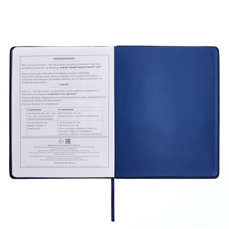 Universal Grade 1-11 Diary, 48 sheets "Joystick", a solid cover of artificial leather, applique, pancake embossing, lisse, universal cheat sheet, block 80 g/m2-12