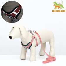 Sport+, XS kit, leash 120 x 1.5 cm, Osh 37-39 cm, og 41-46 cm, animal weight 4-6 kg, pink