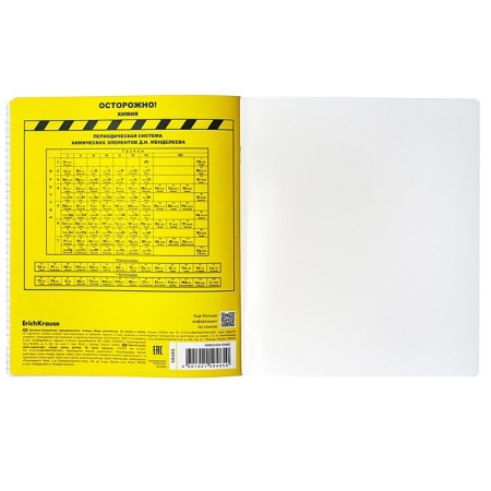 Subject notebook, 48 sheets, cage, chemistry, Erichkrause "BENFORMED", plastic cover silk-screen cover, OFSET BELICE 100%, info block-6