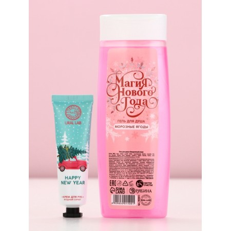 Pure happiness set "Shine", shower gel 250 ml and hand cream 30 ml, berries-1