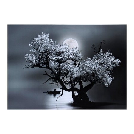 Picture on canvas "Black and white night" 50*70 cm
