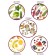 Pioneer FD806D vegetables and fruits, 450 watts, 5 tiers, white