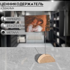 Ценникодержатель с зажимом «Прищепка», 2,5×2,5×11 см, цвет серебро