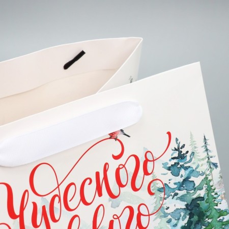 Gift package with a wide bottom "New Year's miracles", 25 x 19 x 18 cm, New Year-5