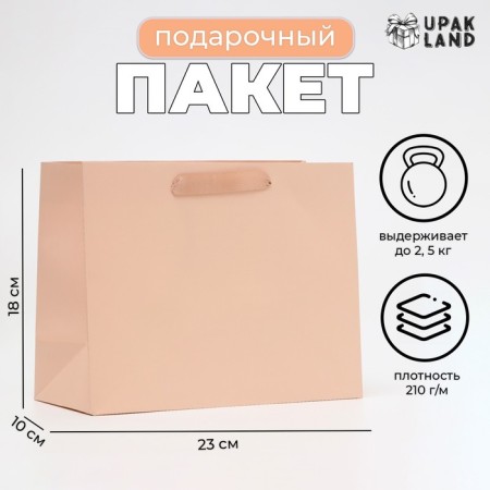 Laminated Vanilla, MS 23 × 18 × 10 cm