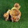 Garden figure "Snails-feeders" 24x15x14cm