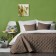 Cover with pillowcases "Kim", size 230x250 cm, cappuccino color