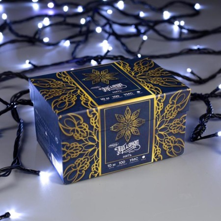 Garland “thread” 10 m, IP44, UMS, dark thread, 100 LED, white glow, white flicker, 220 V-2