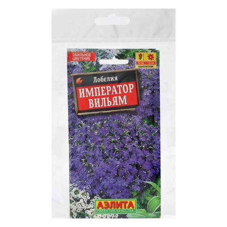 Lobelia flowers "Emperor William" Oh, set 5 pcs-2