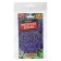 Lobelia flowers "Emperor William" Oh, set 5 pcs
