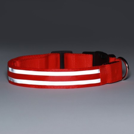 Collar with backlight double strip size L, Osh 45-52 x 2.5 cm, 3 glow modes red-10