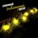 Set for experiments "New Year's garland. Star ", 10 lamps, 1 mode, white light, 220 V