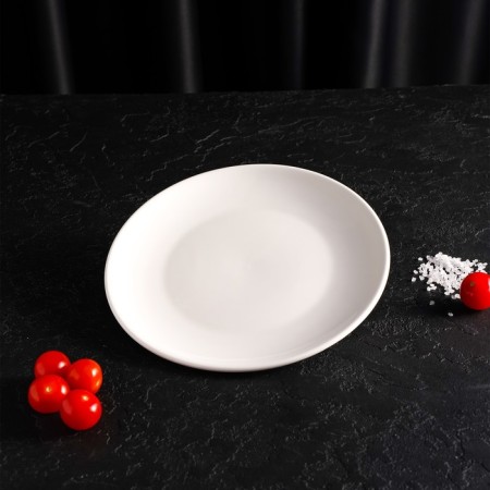 Plate porcelain dessert shade White Label, d = 17.5 cm, white color-6
